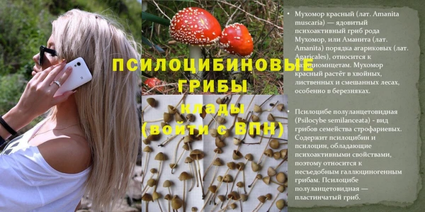 бошки Верхний Тагил
