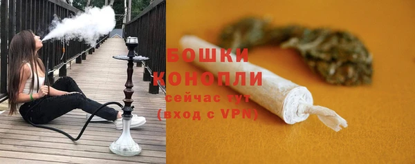 бошки Верхний Тагил