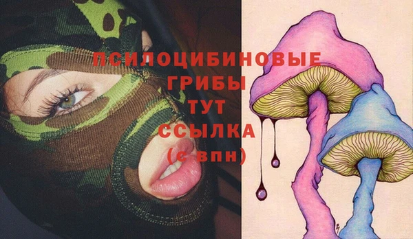 шишки Верея