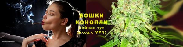 мяу мяу мука Бородино