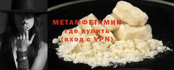шишки Верея