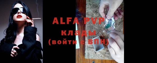 шишки Верея