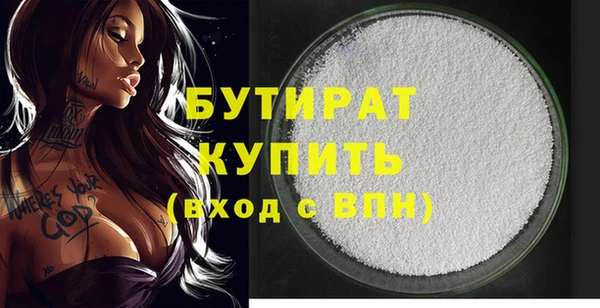 шишки Верея