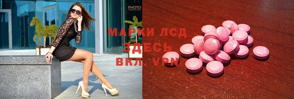 шишки Верея