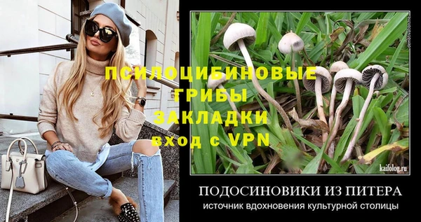 шишки Верея